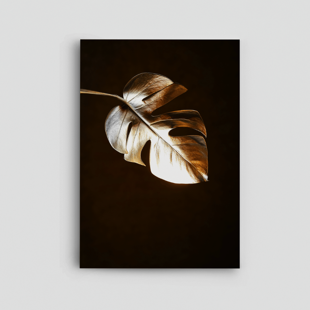 A Leaf Canvas