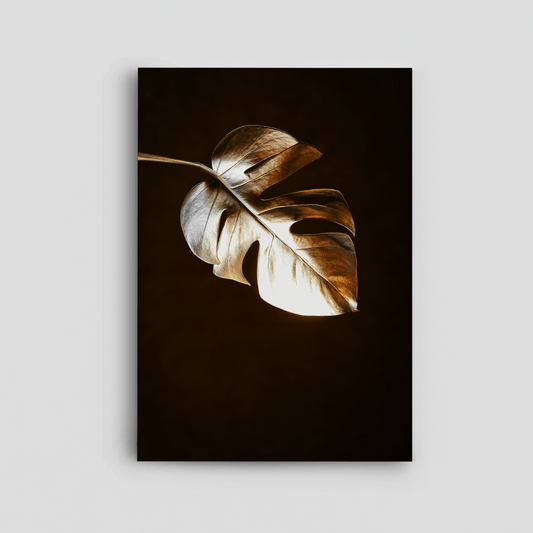A Leaf Canvas