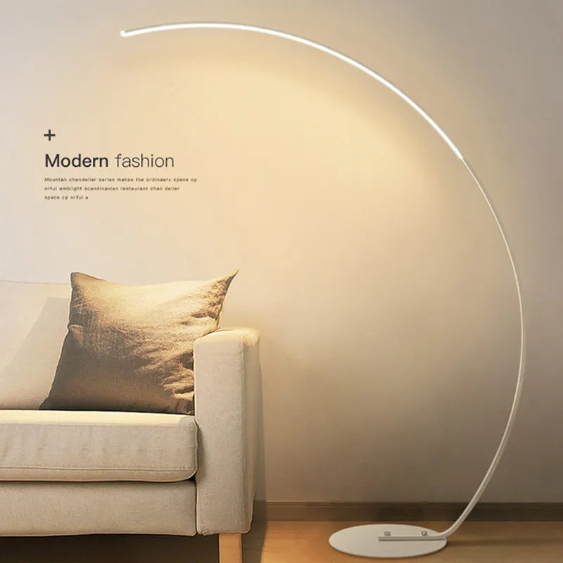 Curved Modern Floor Lamp