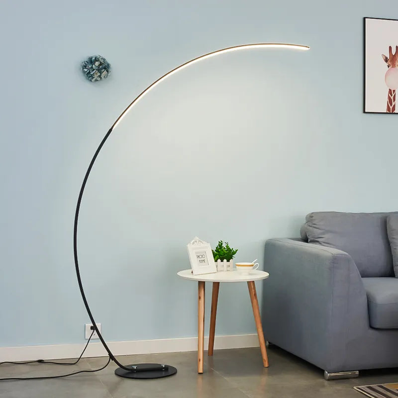 Curved Modern Floor Lamp