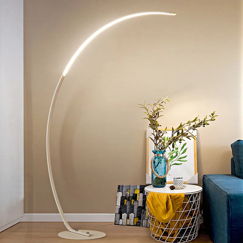 Curved Modern Floor Lamp