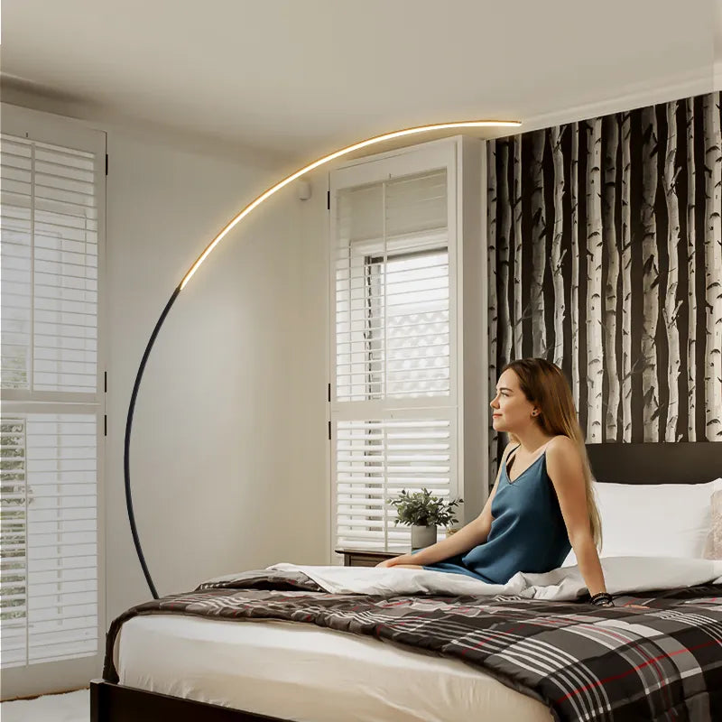 Curved Modern Floor Lamp